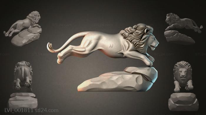 LVI_001811