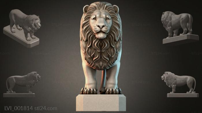 LVI_001814