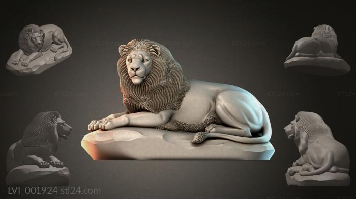 LVI_001924