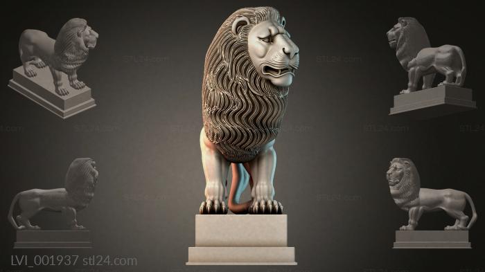 LVI_001937