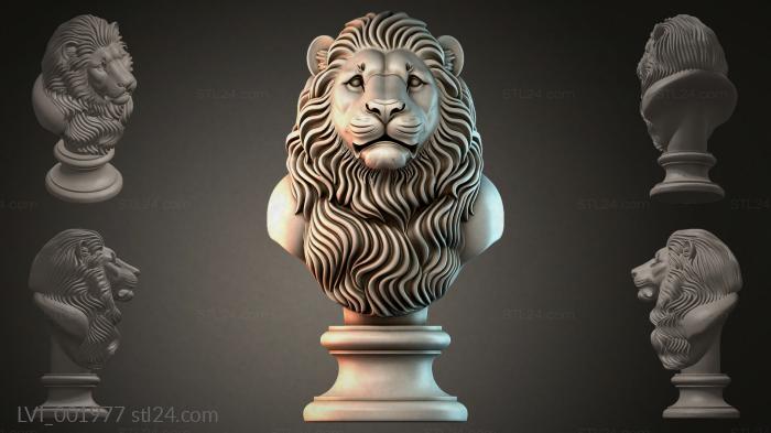 LVI_001977