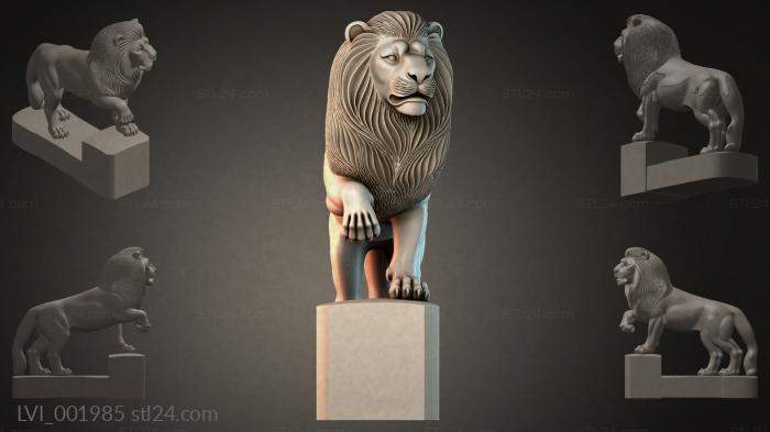 LVI_001985
