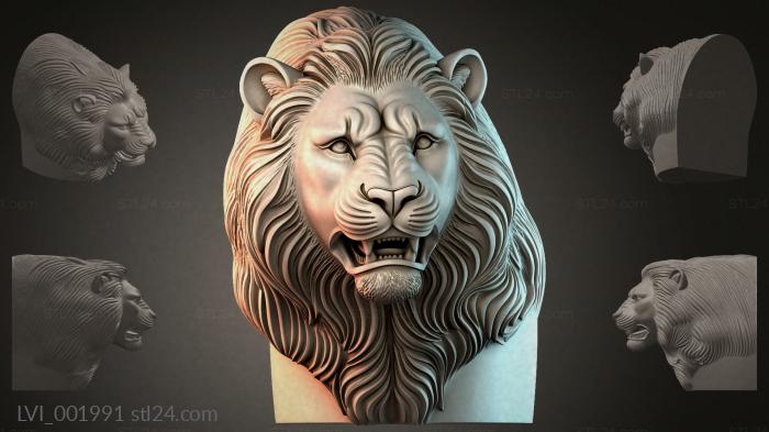 LVI_001991