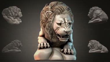 Lions LVI_002006 3d model