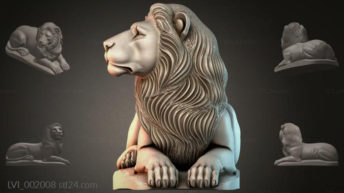LVI_002008