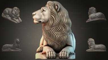 Lions LVI_002008 3d model