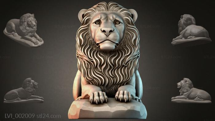 LVI_002009