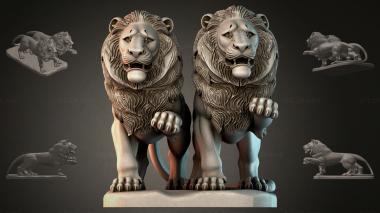 Lions LVI_002013 3d model