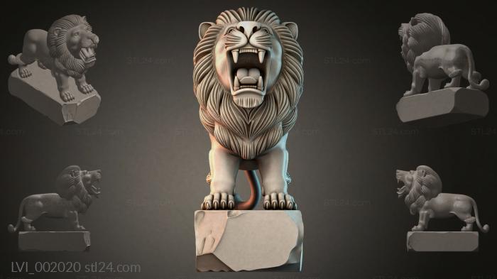 LVI_002020