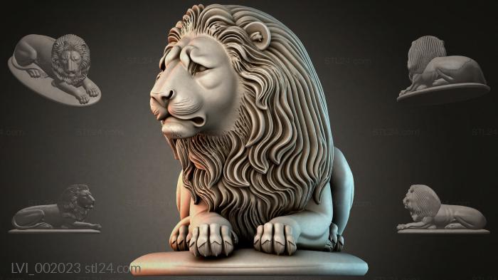 LVI_002023