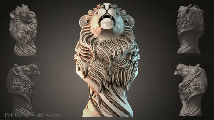 LVI_002024