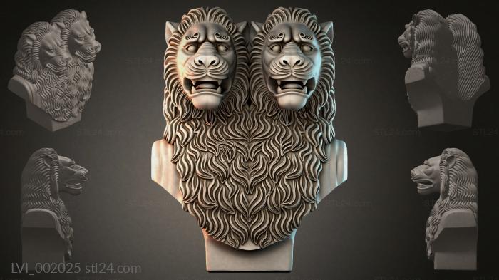 LVI_002025