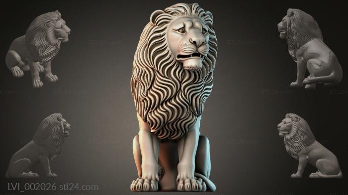 LVI_002026