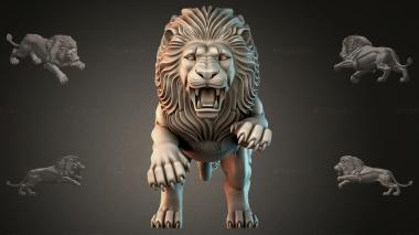 Lions LVI_002027 3d model