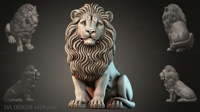 LVI_002028