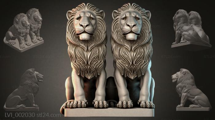 LVI_002030