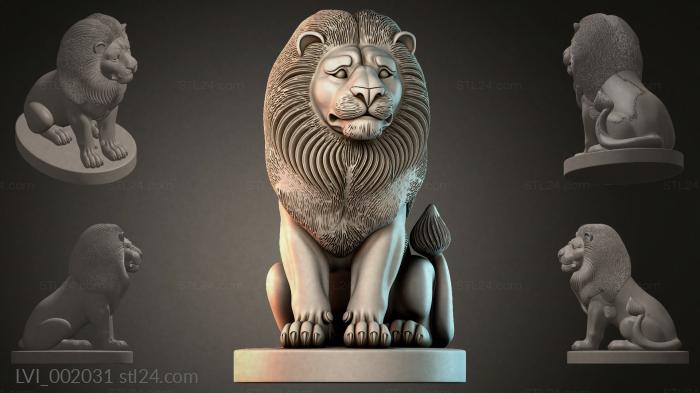 LVI_002031