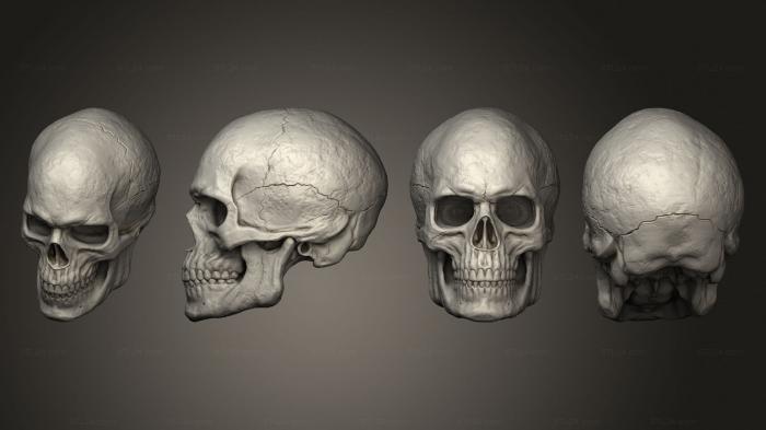 Mask (Male Skull 23, MS_0619) 3D models for cnc