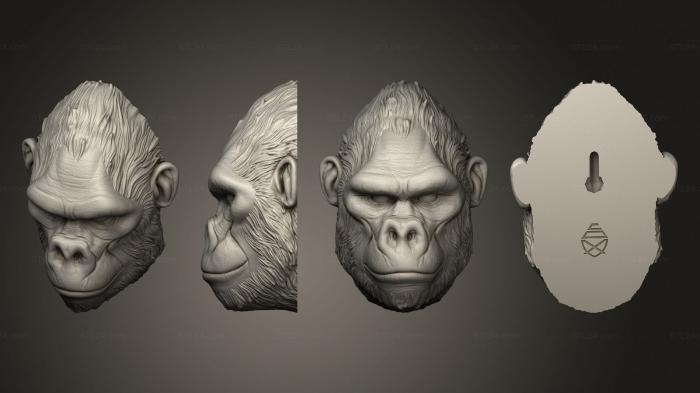 Mask (monkeys morillasfelipe 01, MS_0637) 3D models for cnc