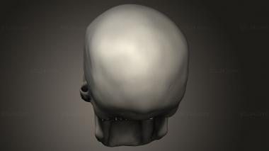 Mask (detailed human skull, MS_0855) 3D models for cnc