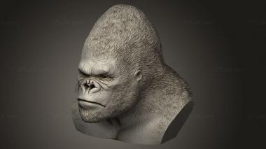 Mask (King kong, MS_0991) 3D models for cnc