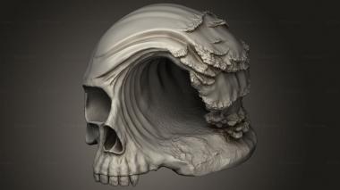 Mask (skull surf, MS_1163) 3D models for cnc