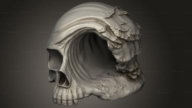 Mask (skull surf and skeleton, MS_1164) 3D models for cnc