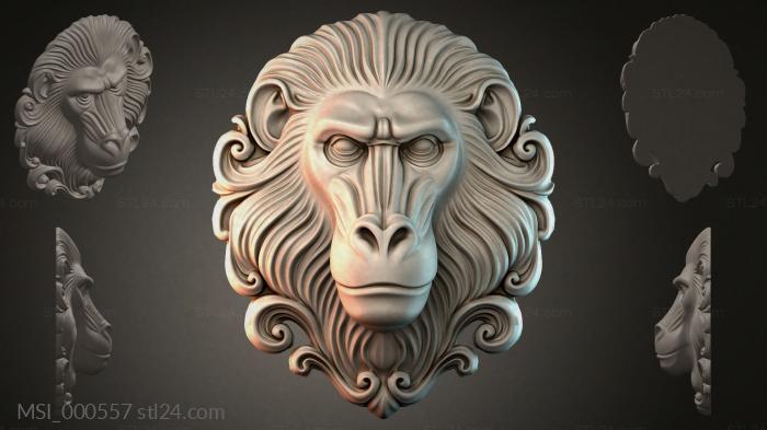 MSI_000557 3d STL model