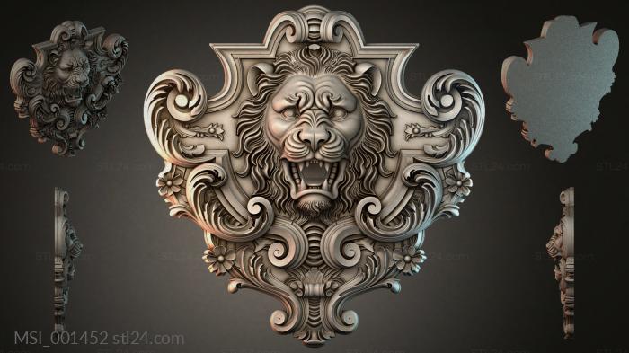 MSI_001452