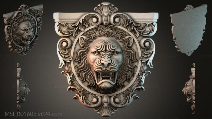 MSI_001608