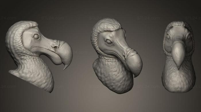 Dodo Bird Head Sculpt