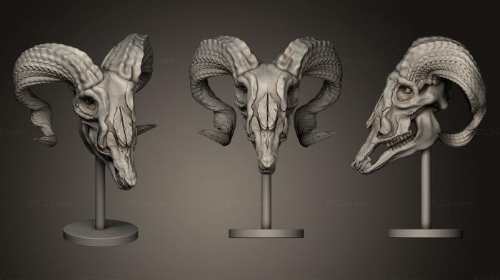 Маски и морды животных (Готовый к печати козий череп, MSKJ_0128) 3D модель для ЧПУ станка