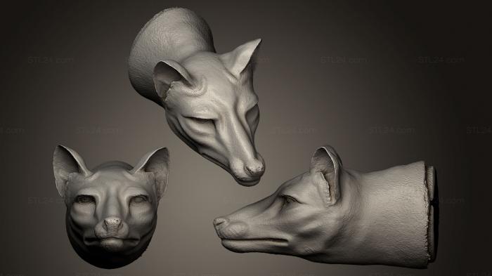 Thylacine wax sculpt