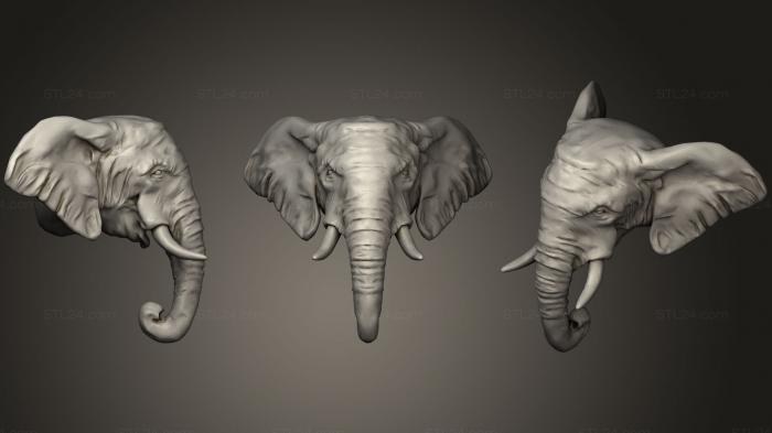 Маски и морды животных (Голова Африканского Слона Низкополигональная, MSKJ_0153) 3D модель для ЧПУ станка