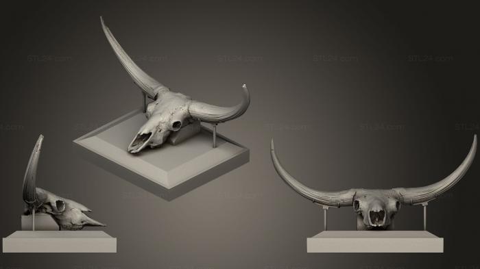 Маски и морды животных (Черепа бизонов латифронов, MSKJ_0159) 3D модель для ЧПУ станка