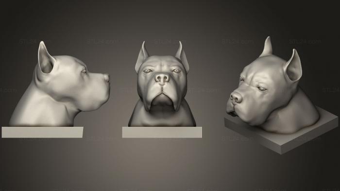 Маски и морды животных (Кане корсо (итальянский мастиф), MSKJ_0166) 3D модель для ЧПУ станка