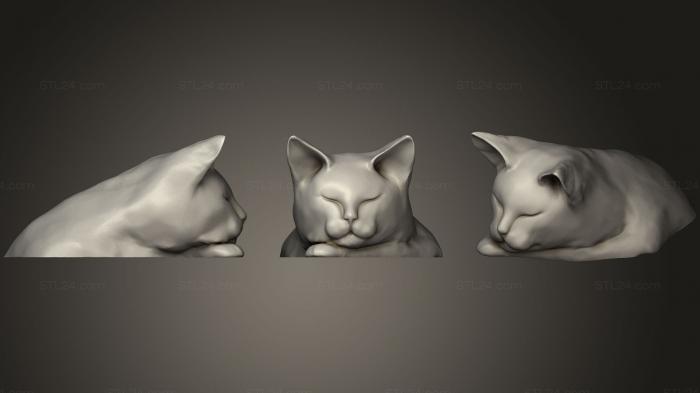 Masks and muzzles of animals (Chat Dodo  Cat Sleeping, MSKJ_0167) 3D models for cnc