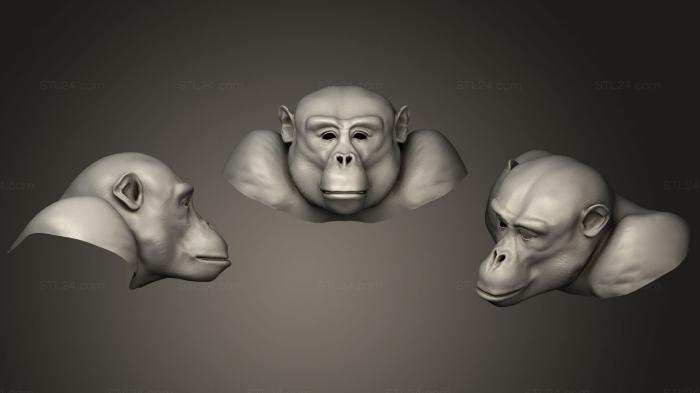 Masks and muzzles of animals (Chimpanzee head WIP 2, MSKJ_0170) 3D models for cnc