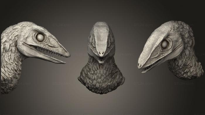 Feathered Dinosaur Head  Velocirator