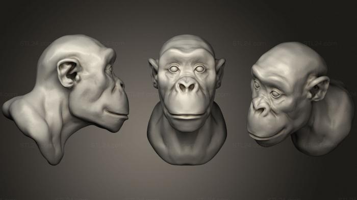 Masks and muzzles of animals (Chimpanzee 124, MSKJ_0274) 3D models for cnc