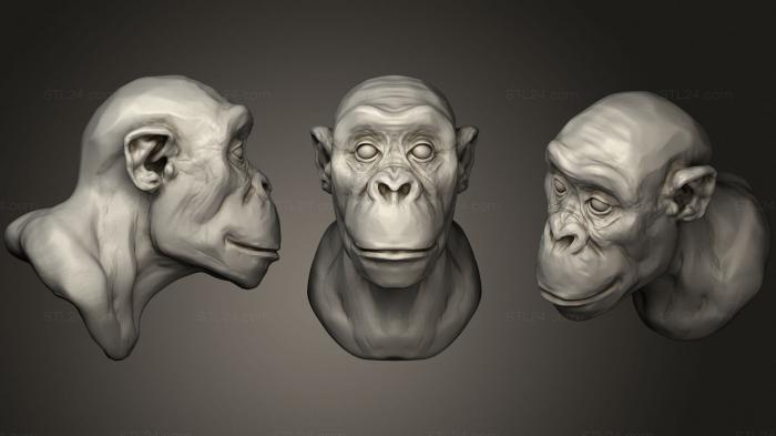 Маски и морды животных (Шимпанзе, MSKJ_0275) 3D модель для ЧПУ станка