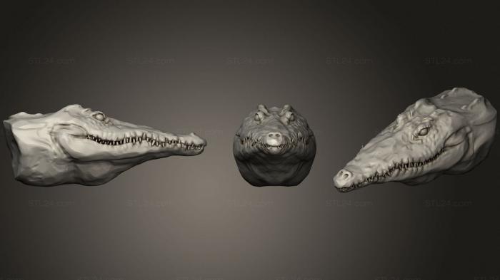 Masks and muzzles of animals (Crocodile 2, MSKJ_0278) 3D models for cnc