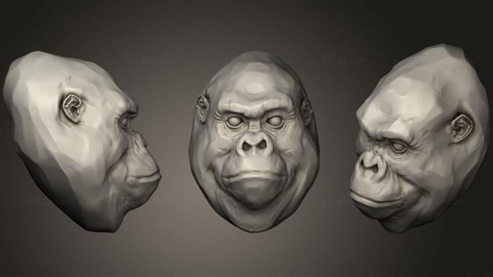 Masks and muzzles of animals (Gorilla 11, MSKJ_0298) 3D models for cnc