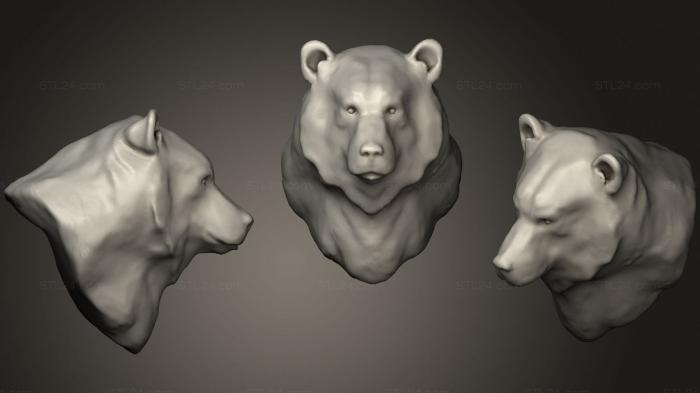 Маски и морды животных (Медведь Гризли 2 2, MSKJ_0299) 3D модель для ЧПУ станка