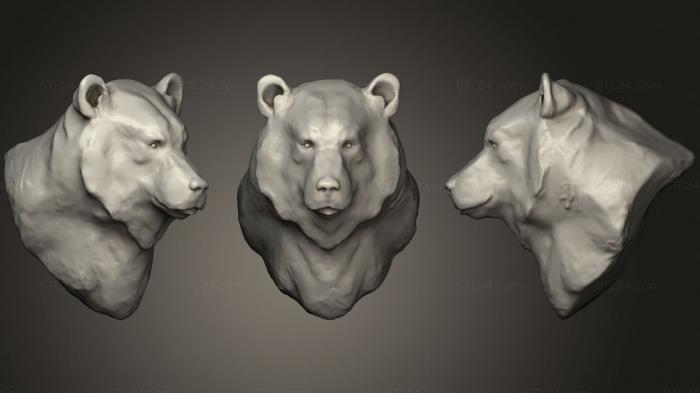 Маски и морды животных (Высокополигональный медведь с текстурами 2, MSKJ_0303) 3D модель для ЧПУ станка