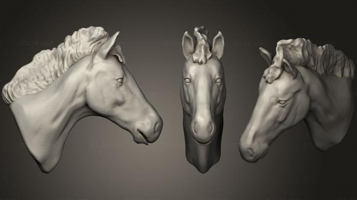 Маски и морды животных (Лошадь 2 2, MSKJ_0306) 3D модель для ЧПУ станка