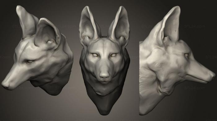 Маски и морды животных (Гривастый волк 2 48, MSKJ_0326) 3D модель для ЧПУ станка