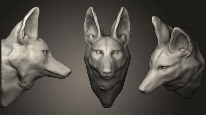 Маски и морды животных (Гривастый Волк 47, MSKJ_0327) 3D модель для ЧПУ станка