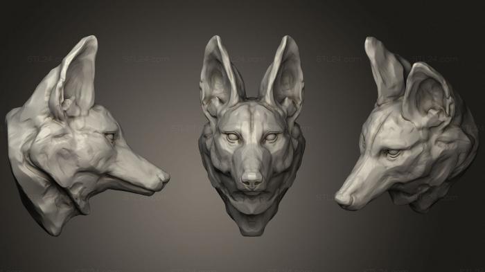 Маски и морды животных (Гривастый Волк, MSKJ_0329) 3D модель для ЧПУ станка