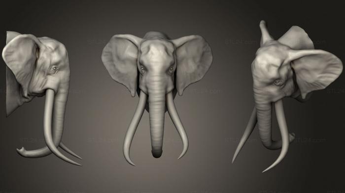Masks and muzzles of animals (OLD TRUNK ELEPHANT 2 154, MSKJ_0332) 3D models for cnc